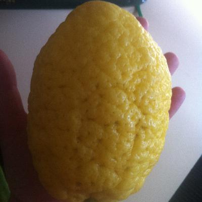 How to easily Juice lemons fast.