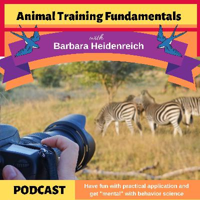 37 - The Details are in the Data 37 - The Details are in the Data