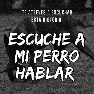 Nunca pongas lagañas de perro en tus ojos/ Escuche hablar a mi perro