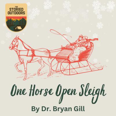 Ep. 135: One Horse Open Sleigh ( A Christmas Story) by Dr. Bryan Gill