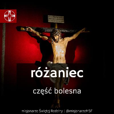 RÓŻANIEC - tajemnice bolesne - różaniec z MSF
