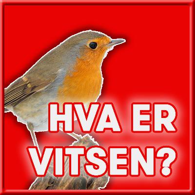 RØDSTRUPE 01: HVA ER VITSEN?