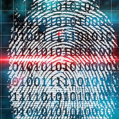 Cybersecurity Investigations