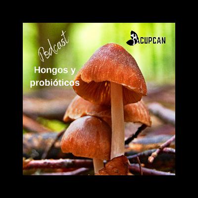 BENEFICIOS DE LOS HONGOS EN ANIMALES