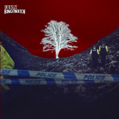 The Sycamore Gap Mystery (Channel 4, 2025)