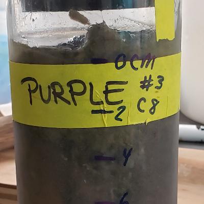 Doing Soil Extractions.