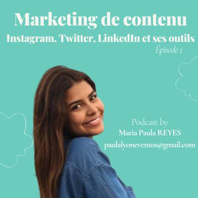 Marketing numérique - Instagram, Twitter et LinkedIn - Les outils