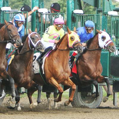 Who's Got Action Pod: Leveraged play leads to 32,000% ROI day Who's Got Action Pod: Leveraged play leads to 32,000% ROI day