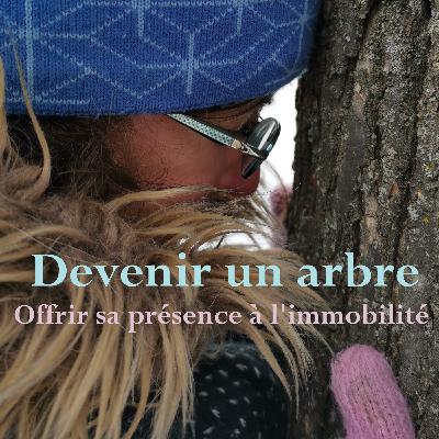 Devenir un arbre - Méditation silencieuse
