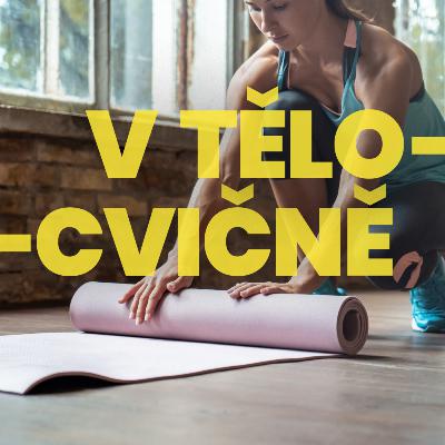 08 – Typy tréninků – Online kurzy často slibují nesmysly. Silový trénink neznamená být kulturistou, ale je pro běžnou populaci všech věkových kategorií. Ovlivňuje výkonnost, sebevědomí, zpevnění těla, šlachy, vazy, hustotu kostí