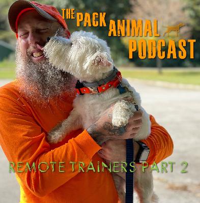 Remote Trainers Part 2