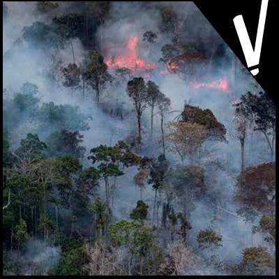 AMAZÔNIA: Um Holocausto Ambiental?│Revisionários_vol.2