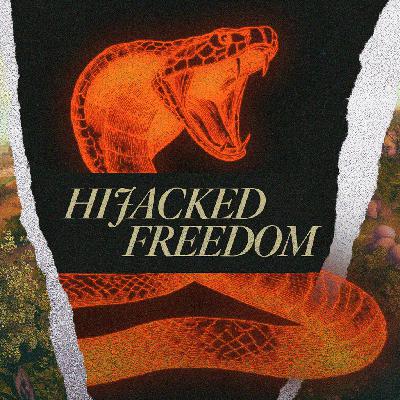 Hijacked Freedom - Heather Molchanoff