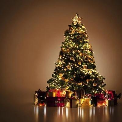 Audio_informatica_Sandra Quiroz Herrera