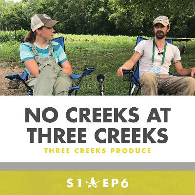 No Creeks at Three Creeks