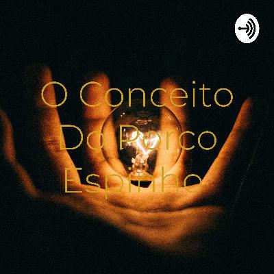 O conceito do Porco Espinho