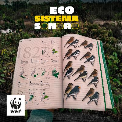 Episodio 2: Una vida pajareando