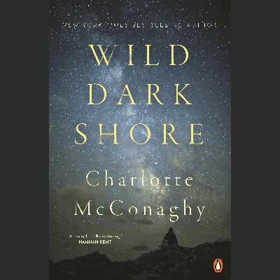 Wild Dark Shore Book Review Wild Dark Shore Book Review