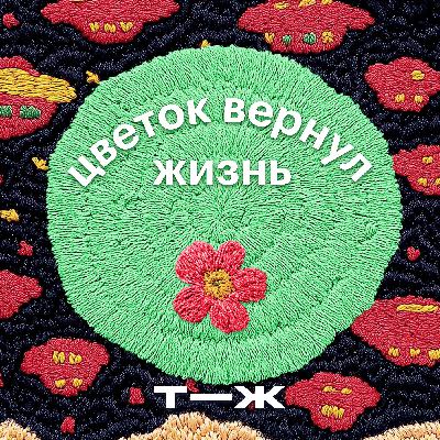 Как получить желаемое с помощью честного разговора