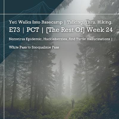 E73 | PCT | [The Rest Of] Week 24 | Norovirus Epidemic, Huckleberries, And Turtle Hallucinations | White Pass to Snoqualmie Pass