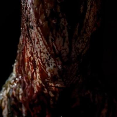 Episode #15 The Vanishing and Possession (Feat. Singh) Episode #15 The Vanishing and Possession (Feat. Singh)