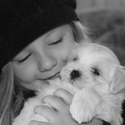 Spiritual Friendship Spiritual Friendship