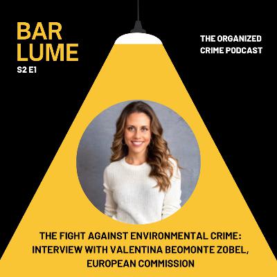 Ep. 9: The fight against environmental crime: interview with Valentina Beomonte Zobel, European Commission