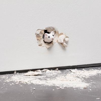 Vol.082 花钱不多，幸福不少：学会识货，幸福其实可被抄底