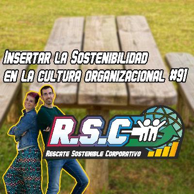 Insertar la Sostenibilidad en la cultura organizacional #91