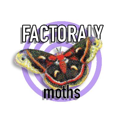 E119 MOTHS E119 MOTHS