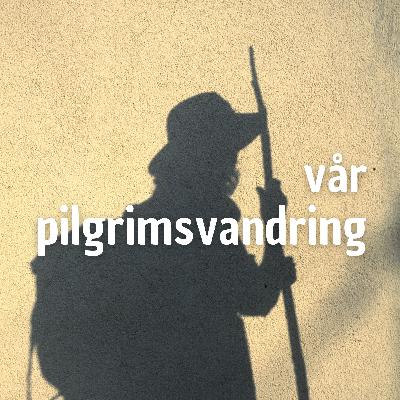 Vår pilgrimsvandring | Tage Johansson