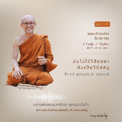 มันไม่ใช่วิปัสสนามันเป็นวิปัสสนู It’s not vipassanā;  it’s vipassanū