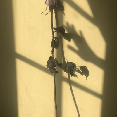 انتظار : شعری از محمود درویش