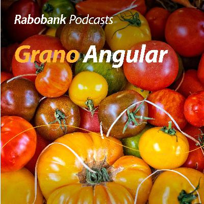 Cae maíz, temas pecuarios y hasta el tomate Cae maíz, temas pecuarios y hasta el tomate