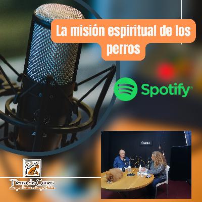 "La misión espiritual de los perros"