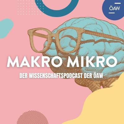 Demokratie - Einschlüsse und Ausschlüsse