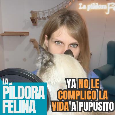 630. Ya NO LE COMPLICO LA VIDA a Pupusito 630. Ya NO LE COMPLICO LA VIDA a Pupusito