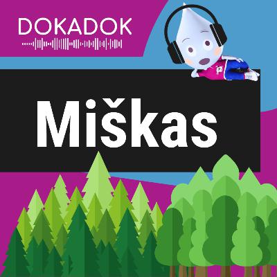 Miško gyvenimas Miško gyvenimas