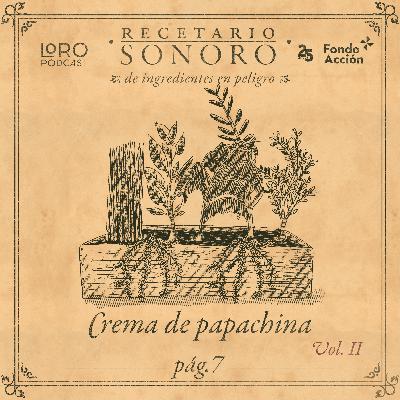 Mis hierbas de azotea