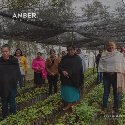 063 | Productoras de cafés especiales desde Tenango de Doria | Montse y Agustina de las Adelitas Café