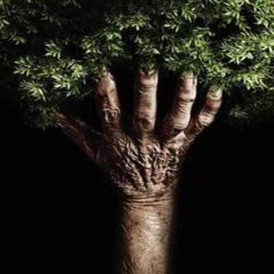 Calamities in Nature Vs Humans