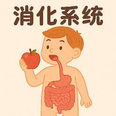 EP11｜食物探險記：從大口咬下到變成便便的奇妙旅程