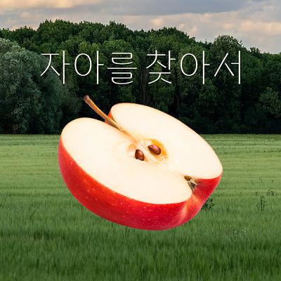 EP.1 나르시시스트와 초민감자가 만났을 때 일어나는 일