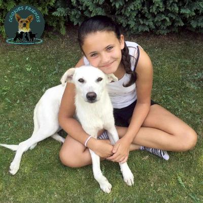 CF 38_Cheyenne mit Gatti CF 38_Cheyenne mit Gatti