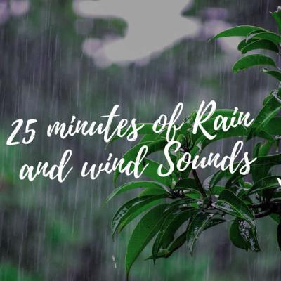 Rain and Wind Sounds for Sleeping or Studying | Rainstorm White Noise