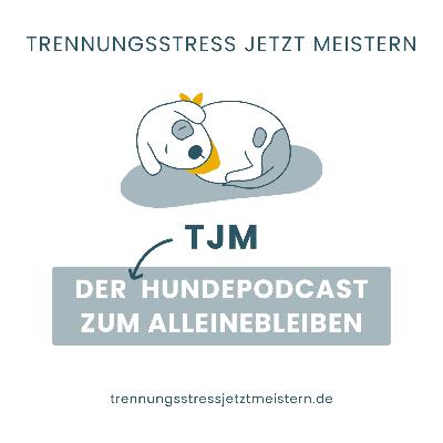 #7 - Rassespezifisches Trennungstraining - Wie du dein Trennungstraining an die Rasse deines Hundes anpasst