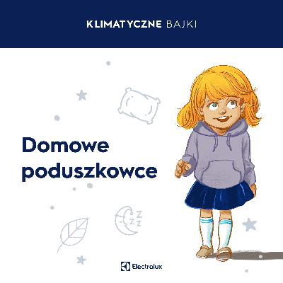 Domowe Poduszkowce Domowe Poduszkowce