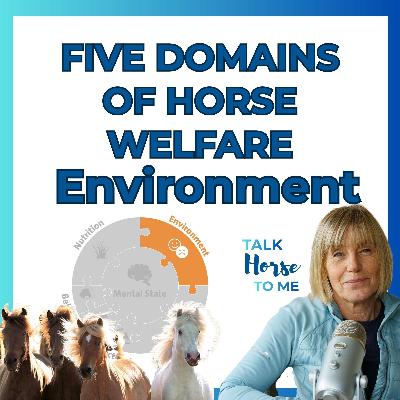 Is Your Horse's Home Making It Miserable? Exploring the Environment Domain Is Your Horse's Home Making It Miserable? Exploring the Environment Domain