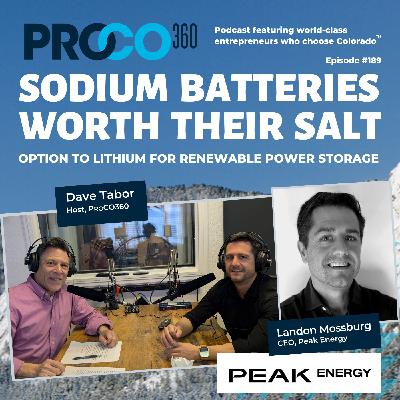 Sodium Batteries Worth Their Salt
