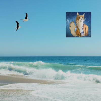 2023年もありがとうございました!W/アキラ 2023年もありがとうございました!W/アキラ